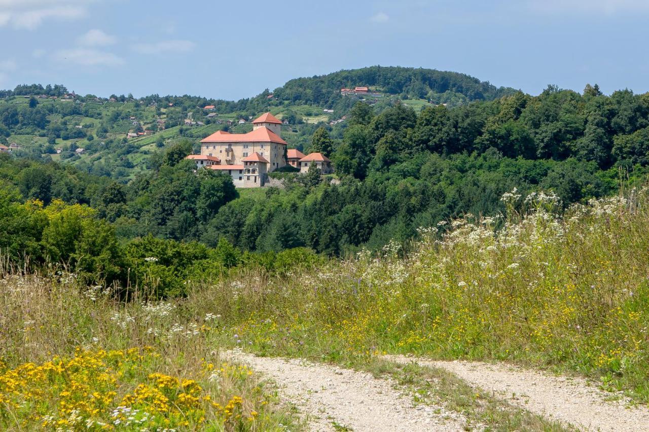 Domacija Vesel Villa Trebnje Exterior foto
