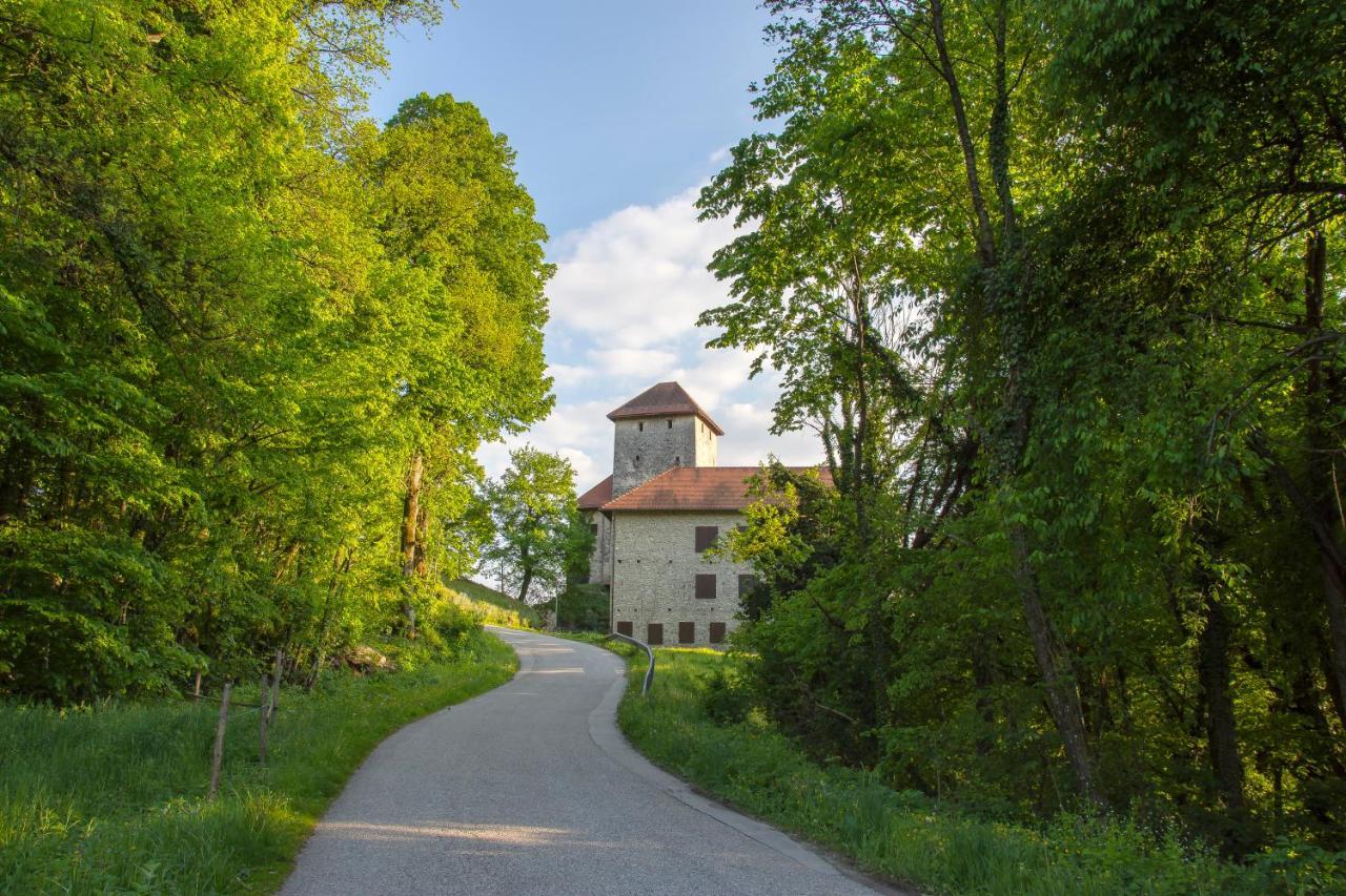 Domacija Vesel Villa Trebnje Exterior foto